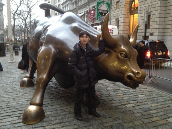 Bull